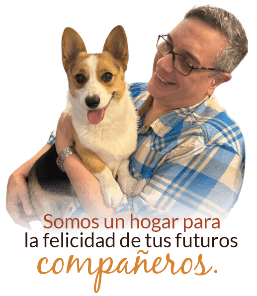 hgg